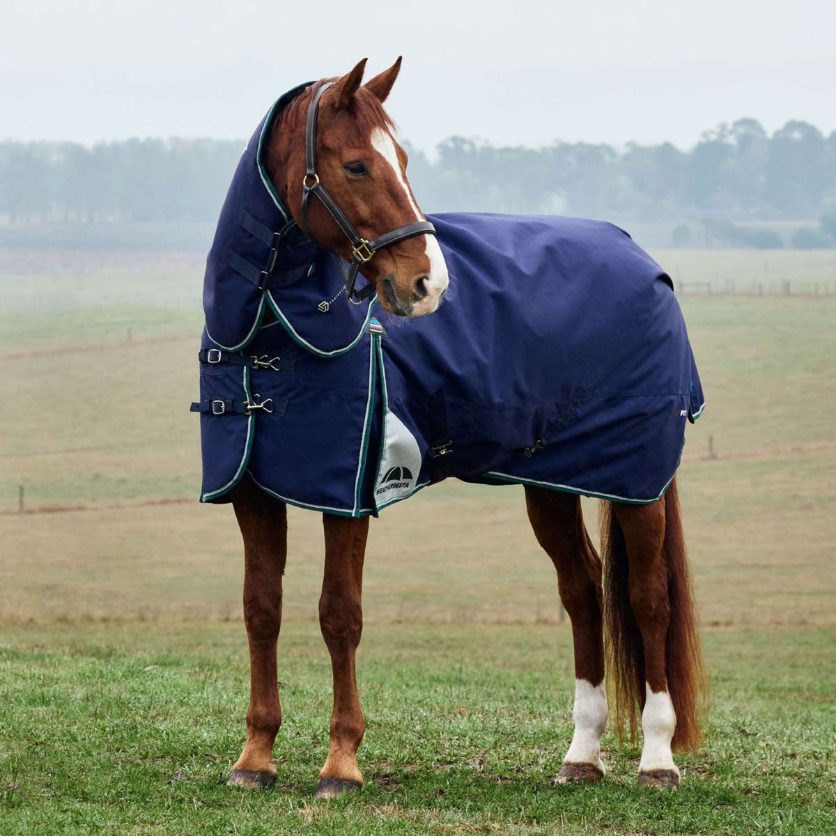 WeatherBeeta ComFiTec Plus Dynamic Turnout Detach-A-Neck 360g Navy/Forest Green