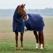 WeatherBeeta ComFiTec Plus Dynamic Turnout Detach-A-Neck 360g Navy/Forest Green