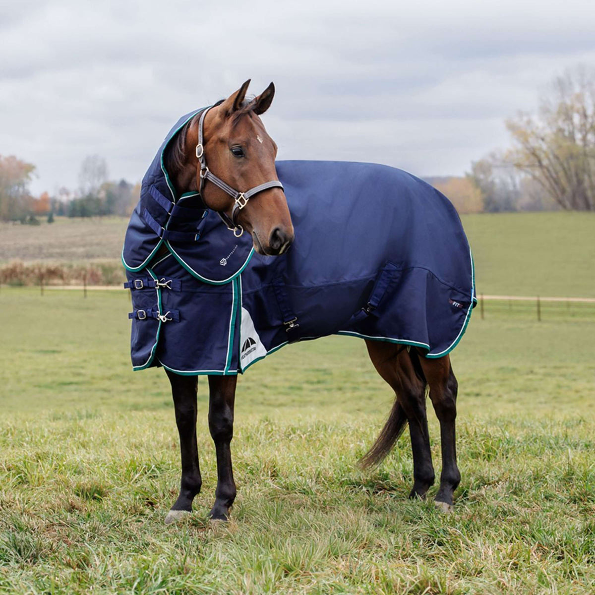 WeatherBeeta ComFiTec Plus Dynamic Turnout Detach-A-Neck 360g Navy/Forest Green