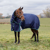WeatherBeeta ComFiTec Plus Dynamic Turnout Detach-A-Neck 360g Navy/Forest Green