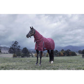 WeatherBeeta ComFiTec Essential Turnout Detach-A-Neck 220g Burgund/Navy