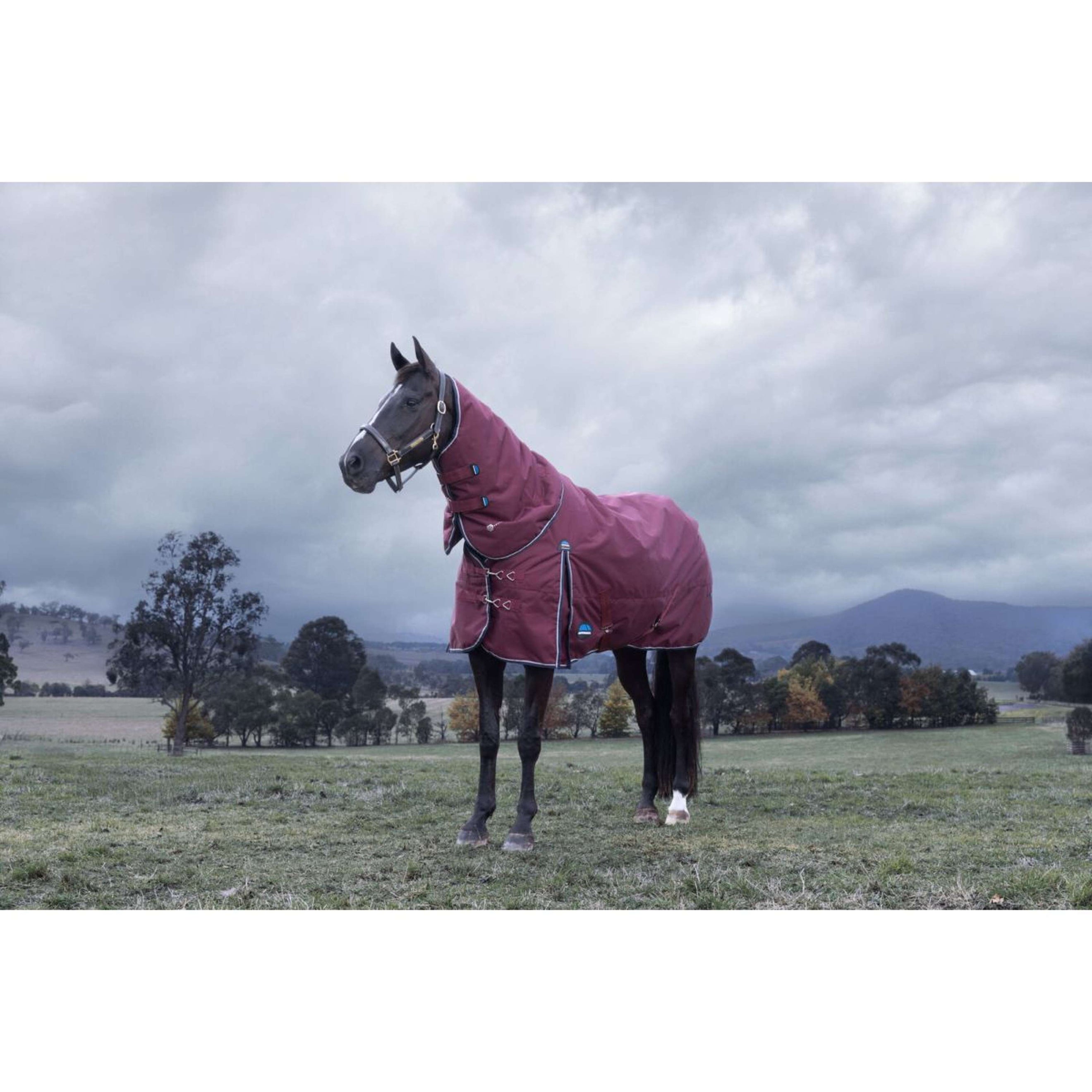 WeatherBeeta ComFiTec Essential Turnout Detach-A-Neck 220g Burgund/Navy