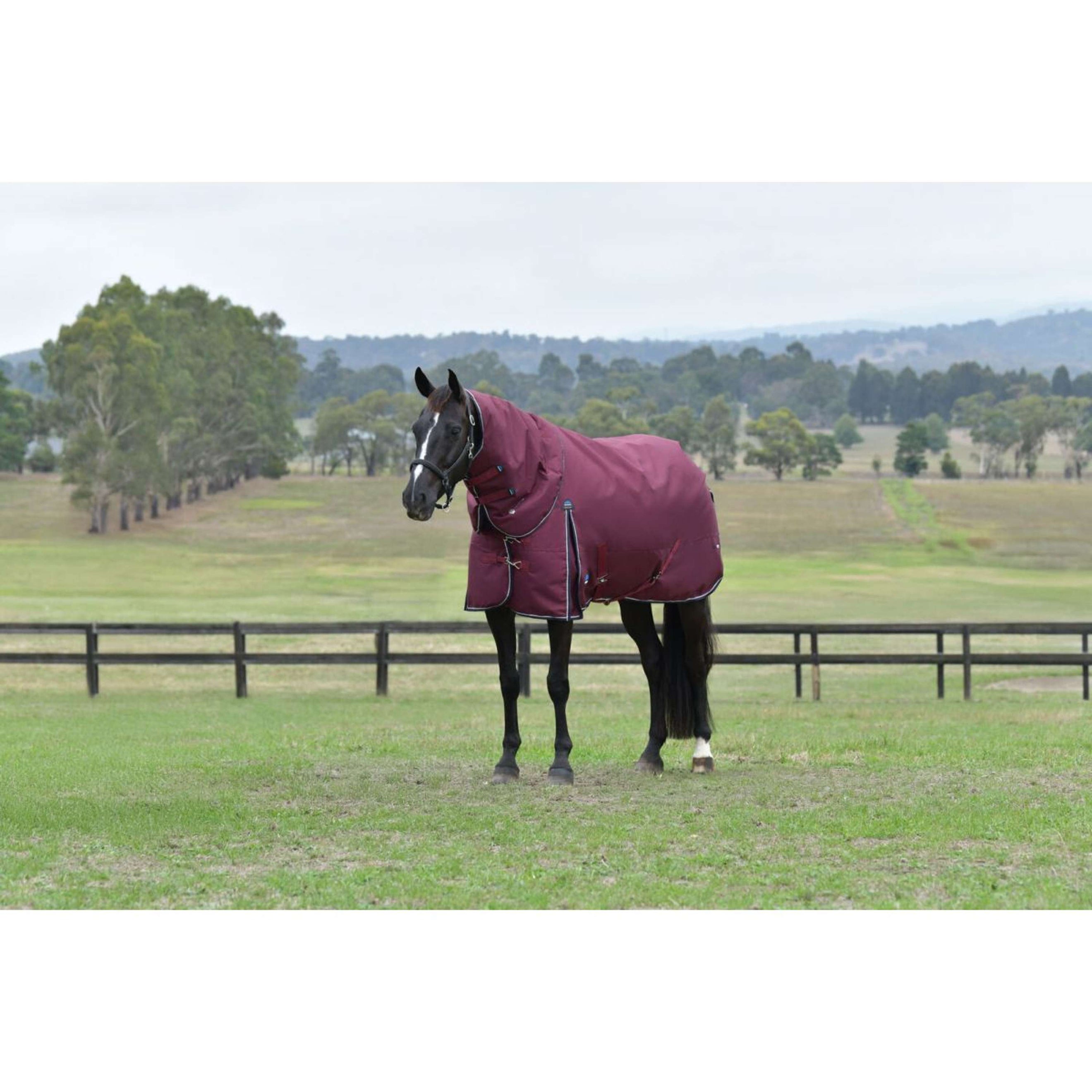 WeatherBeeta ComFiTec Essential Turnout Detach-A-Neck 220g Burgund/Navy WeatherBeeta ComFiTec Essential Turnout Detach-A-Neck 220g Burgund/Navy