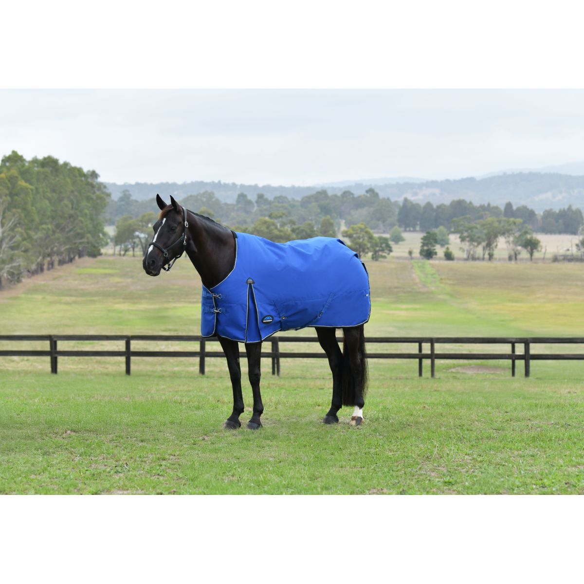 WeatherBeeta ComFiTec Essential Turnout 220g Kobalt/Schwarz