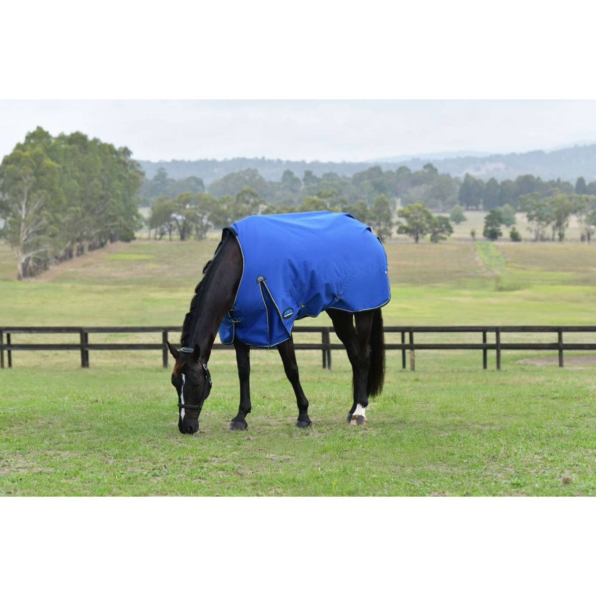 WeatherBeeta ComFiTec Essential Turnout 220g Kobalt/Schwarz