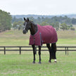 Burgund/Navy