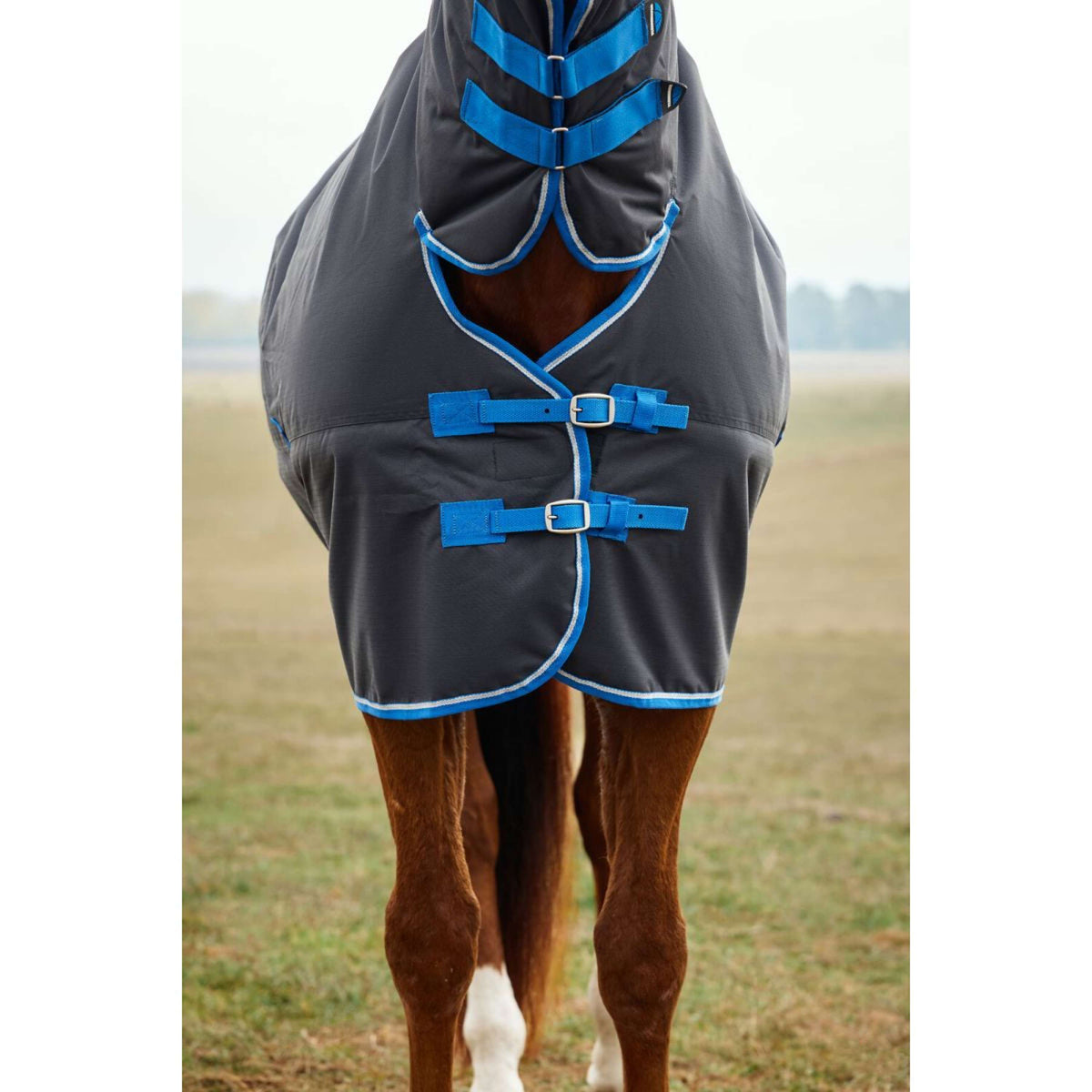 WeatherBeeta ComFiTec Tyro Turnout Combo Neck 220g Schwarz/Kobalt