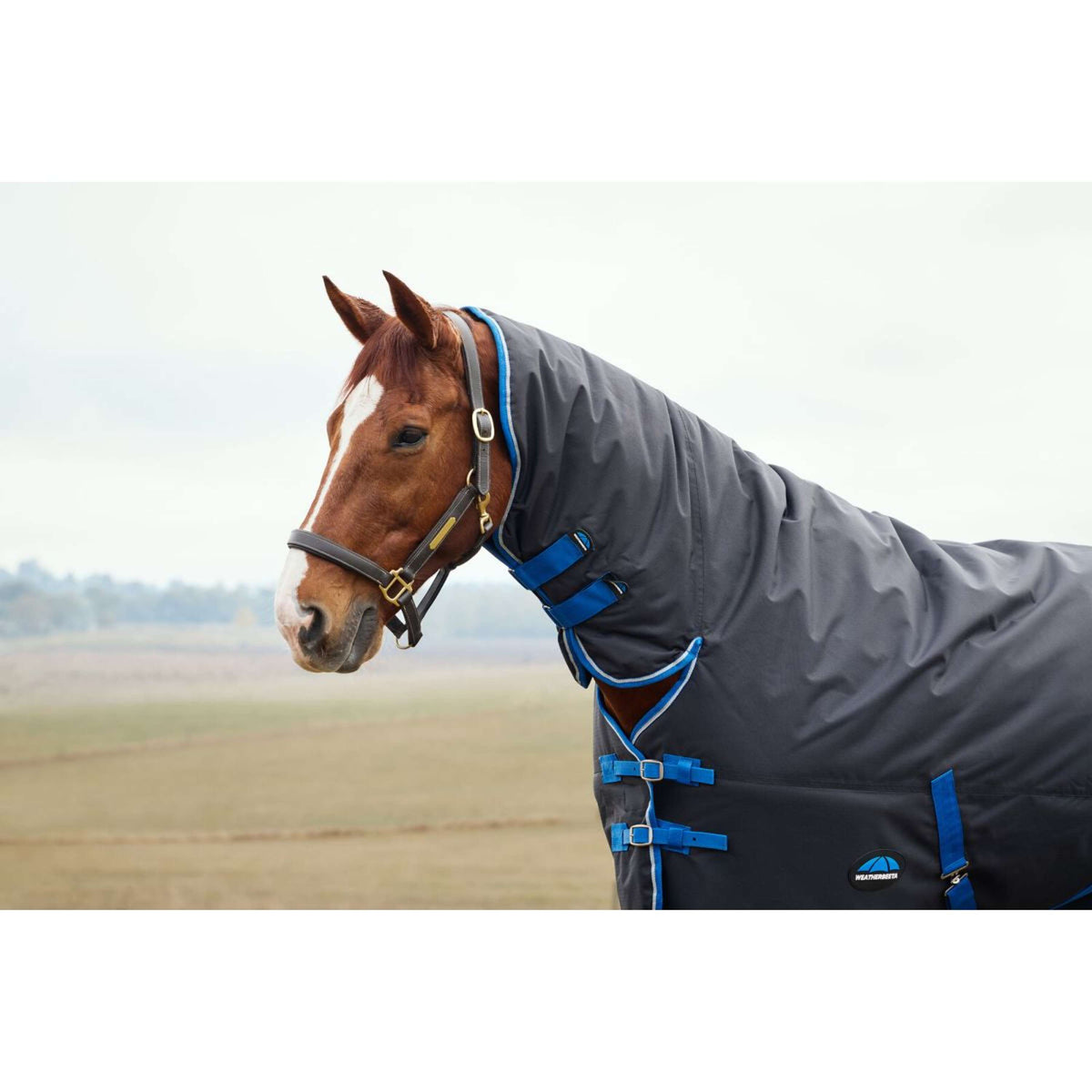 WeatherBeeta ComFiTec Tyro Turnout Combo Neck 220g Schwarz/Kobalt