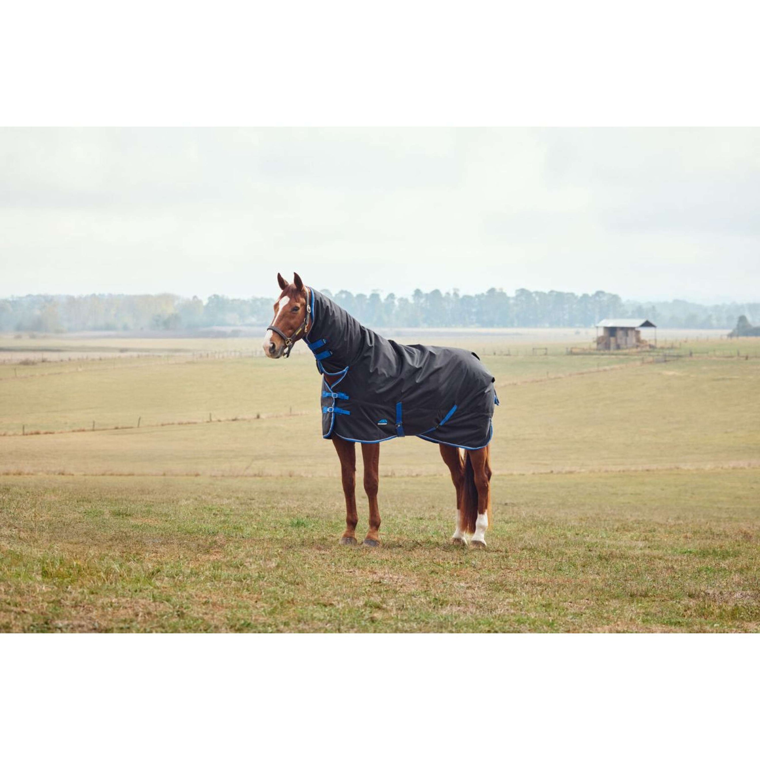 WeatherBeeta ComFiTec Tyro Turnout Combo Neck 220g Schwarz/Kobalt