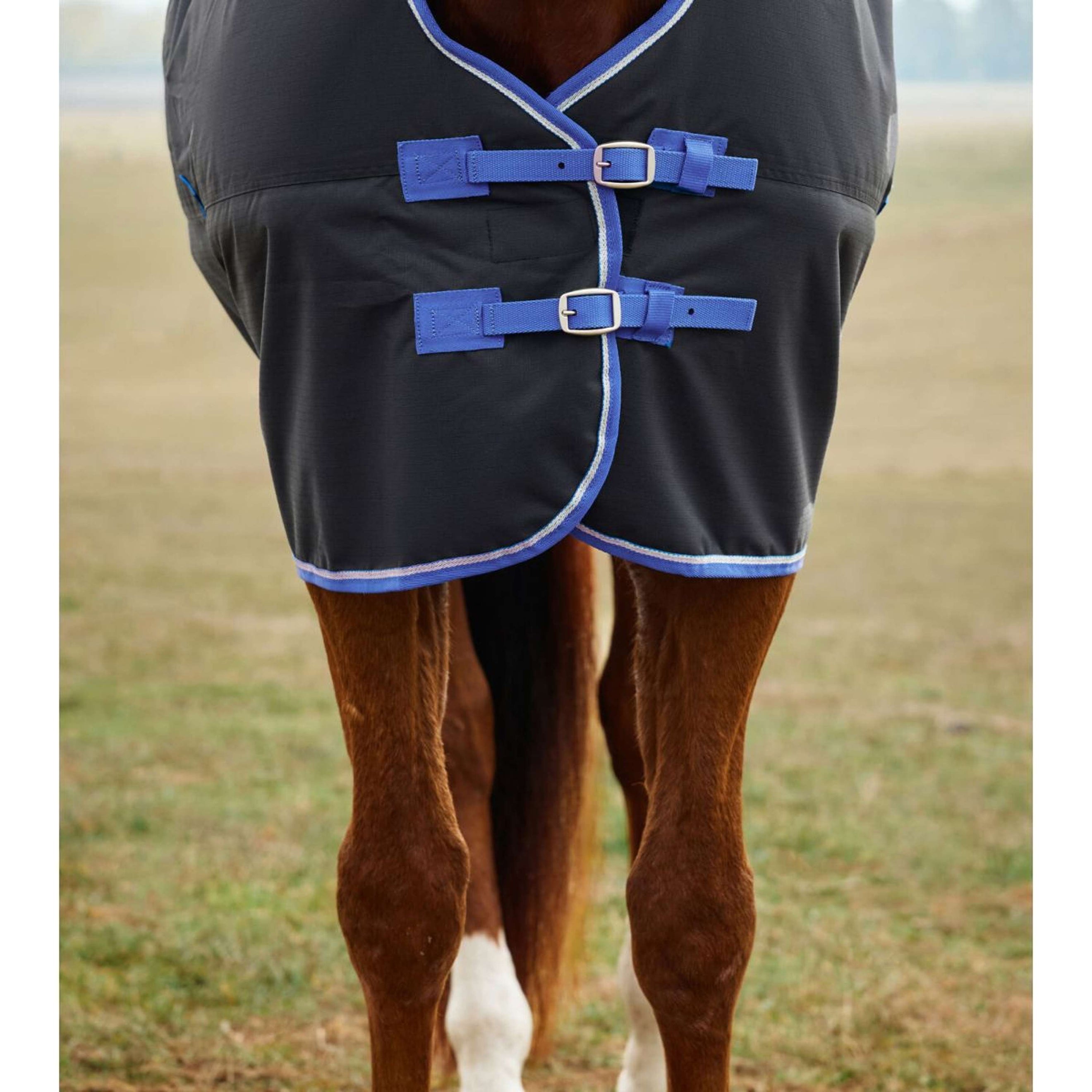 WeatherBeeta ComFiTec Tyro Turnout Standard Neck 220g Schwarz/Kobalt WeatherBeeta ComFiTec Tyro Turnout Standard Neck 220g Schwarz/Kobalt