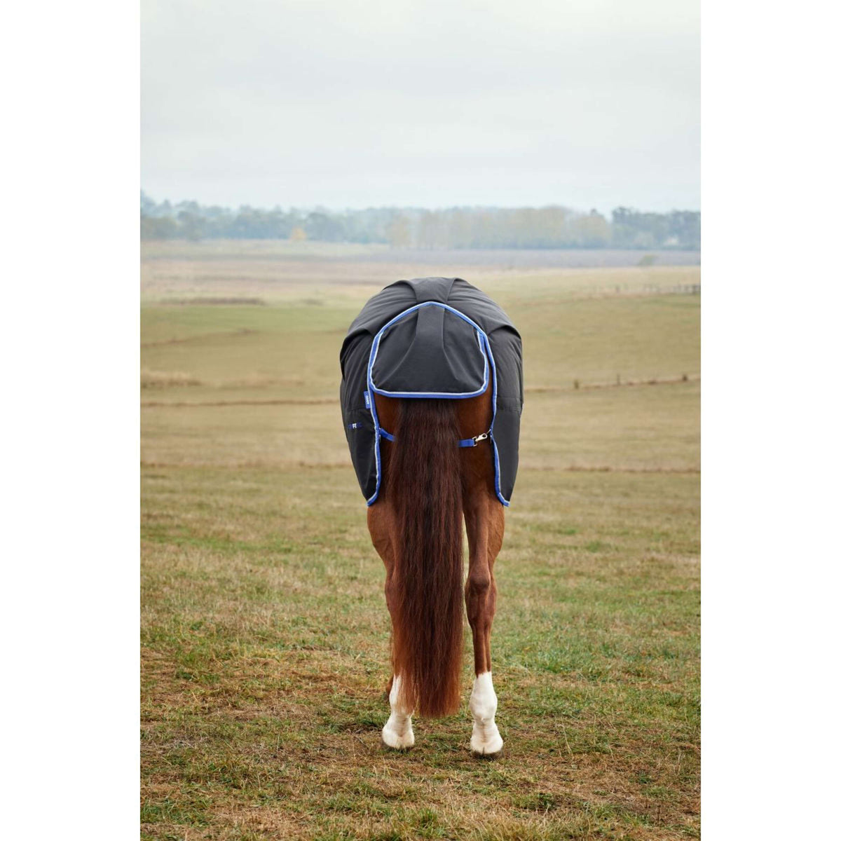 WeatherBeeta ComFiTec Tyro Turnout Standard Neck 220g Schwarz/Kobalt