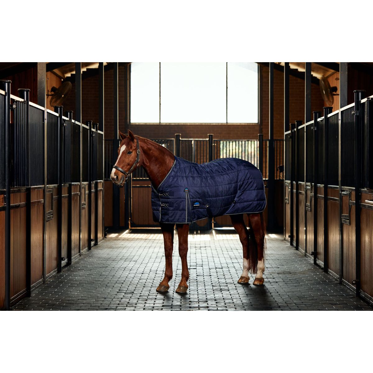 WeatherBeeta Stalldecke ComFiTec PP Channel Quilt Detach-A-Neck 220g Navy/Kohle