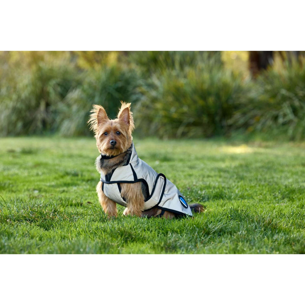 WeatherBeeta Hundedecke ComFiTec Reflective Showerproof Silber