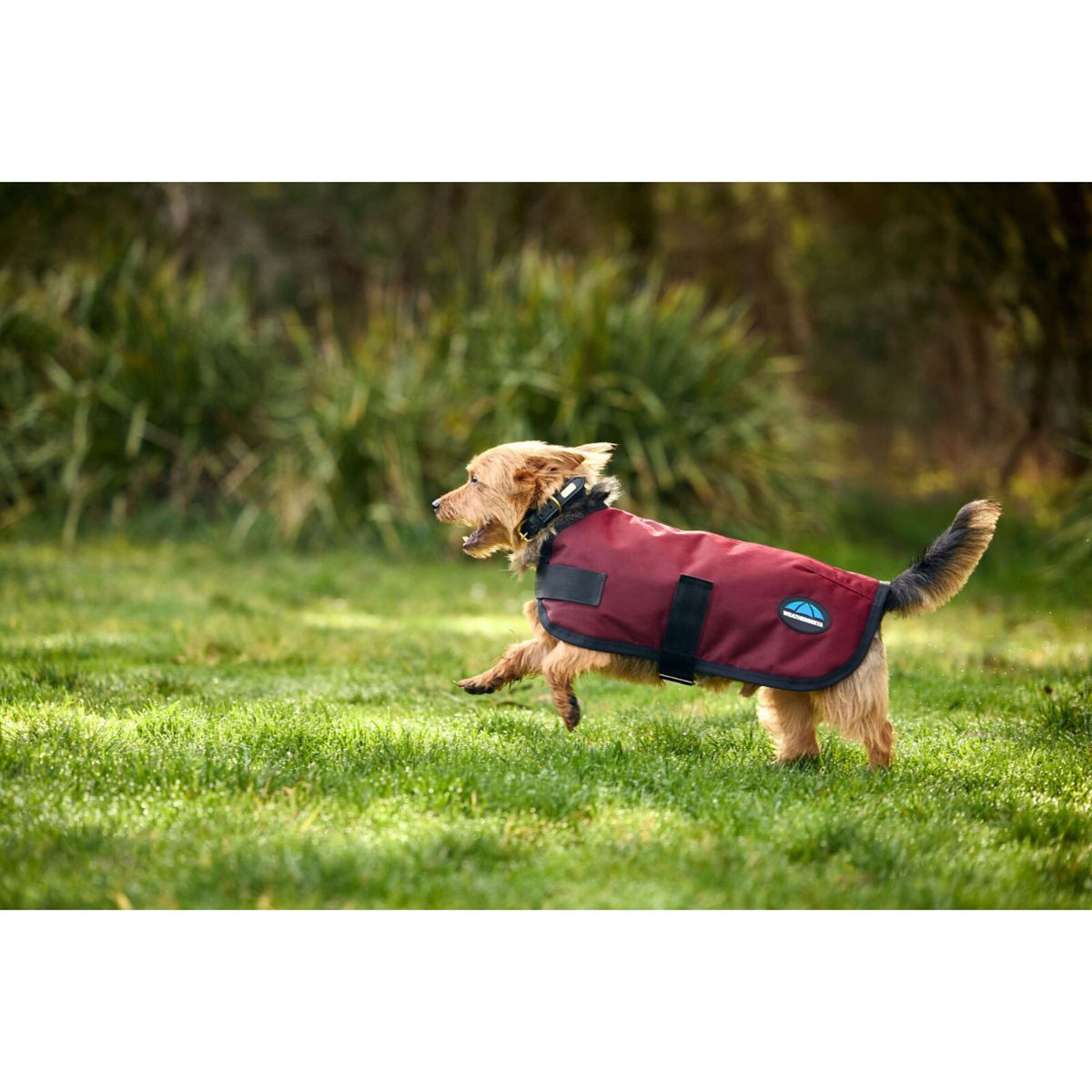 WeatherBeeta Hundedecke ComFiTec Classic Waterproof Burgunderrot