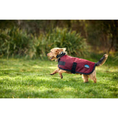 WeatherBeeta Hundedecke ComFiTec Classic Waterproof Burgunderrot