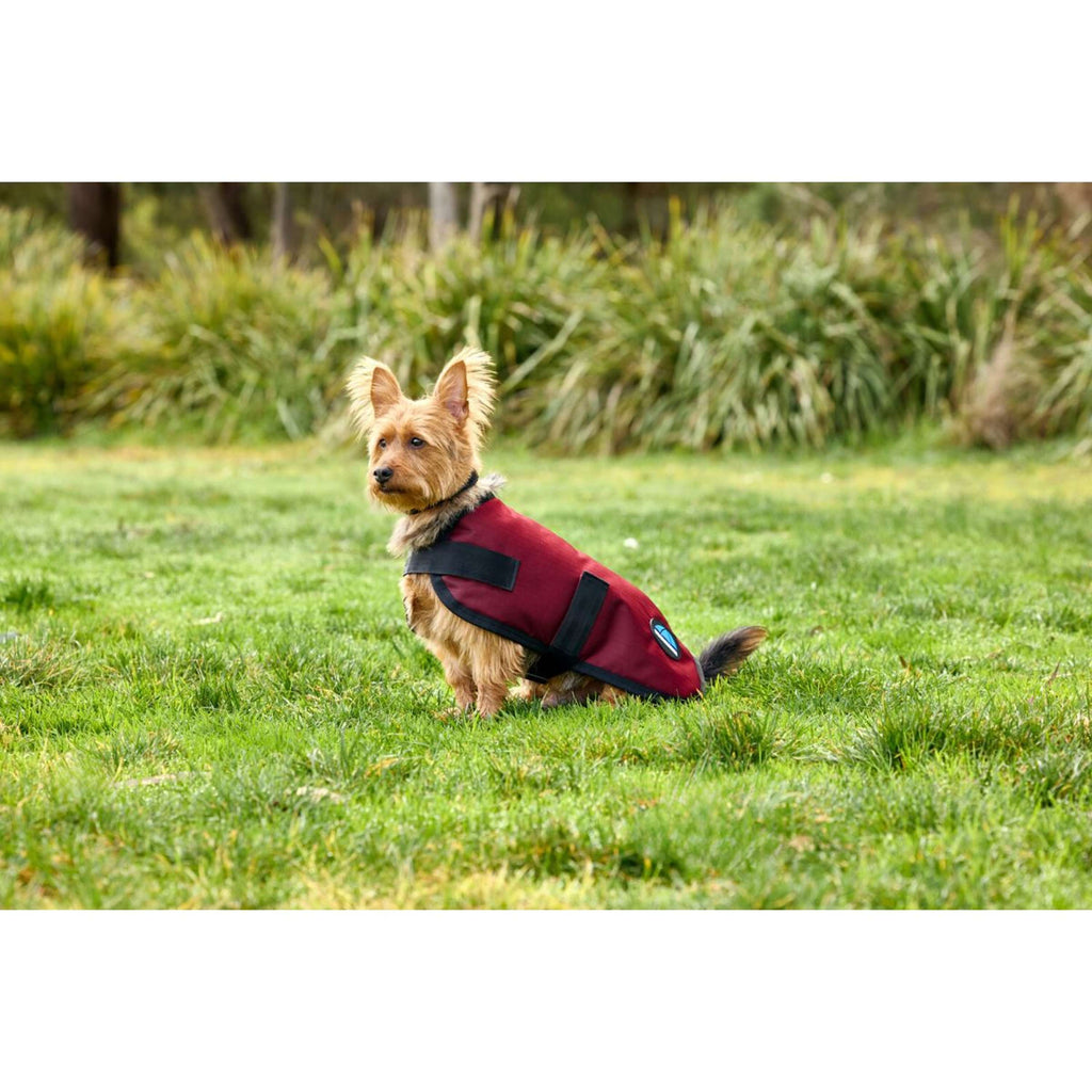 WeatherBeeta Hundedecke ComFiTec Classic Waterproof Burgunderrot