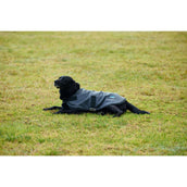 WeatherBeeta Hundedecke ComFiTec Classic Waterproof Kohle