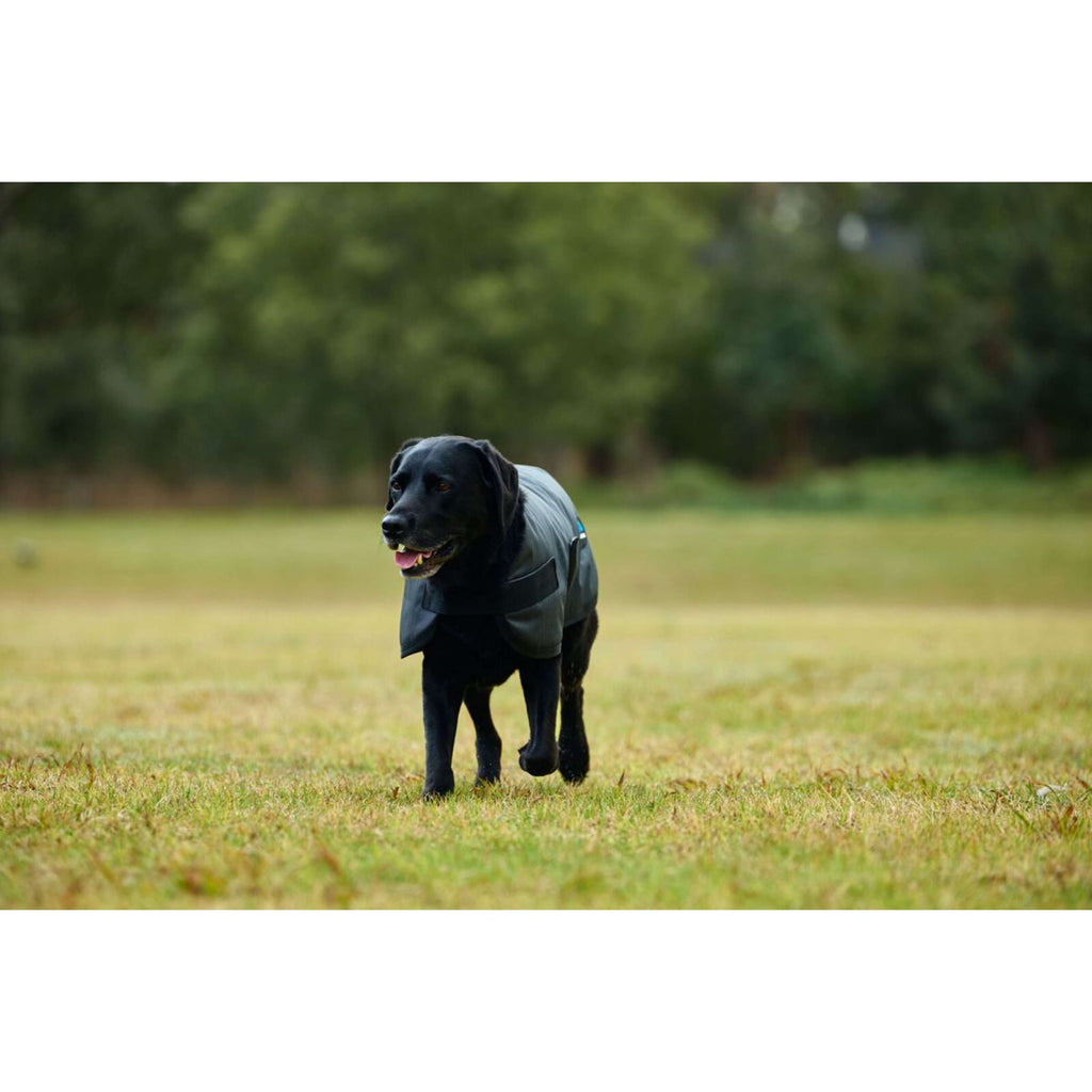 WeatherBeeta Hundedecke ComFiTec Classic Waterproof Kohle