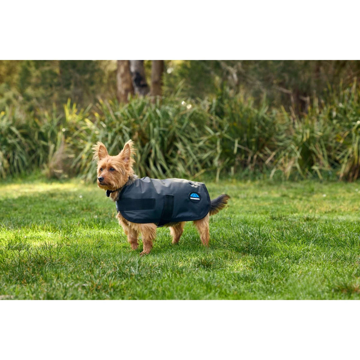 WeatherBeeta Hundedecke ComFiTec Classic Waterproof Kohle
