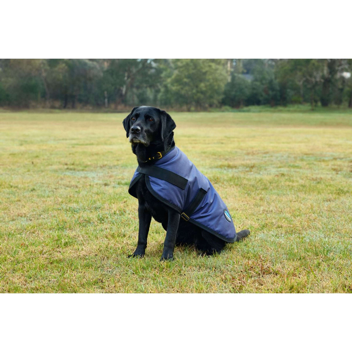 WeatherBeeta Hundedecke ComFiTec Classic Waterproof Navy