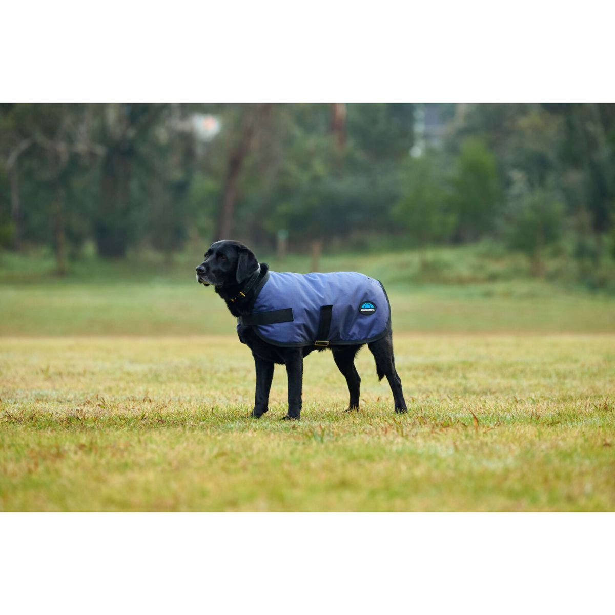 WeatherBeeta Hundedecke ComFiTec Classic Waterproof Navy