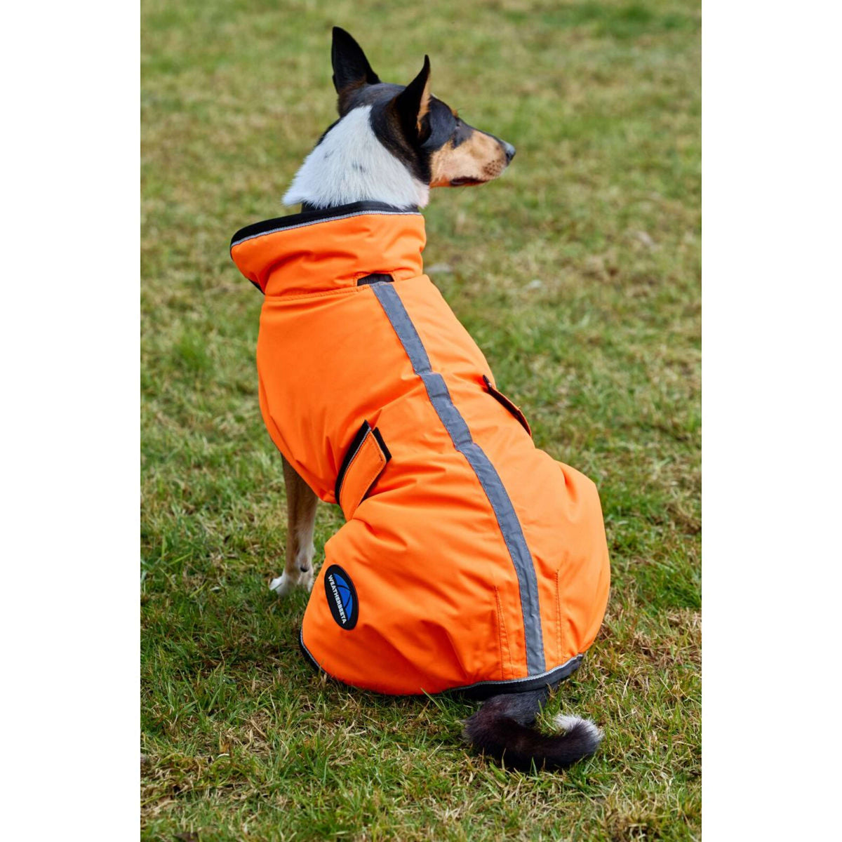 WeatherBeeta Hundedecke ComFiTec Reflective 300D Deluxe Showerproof Orange