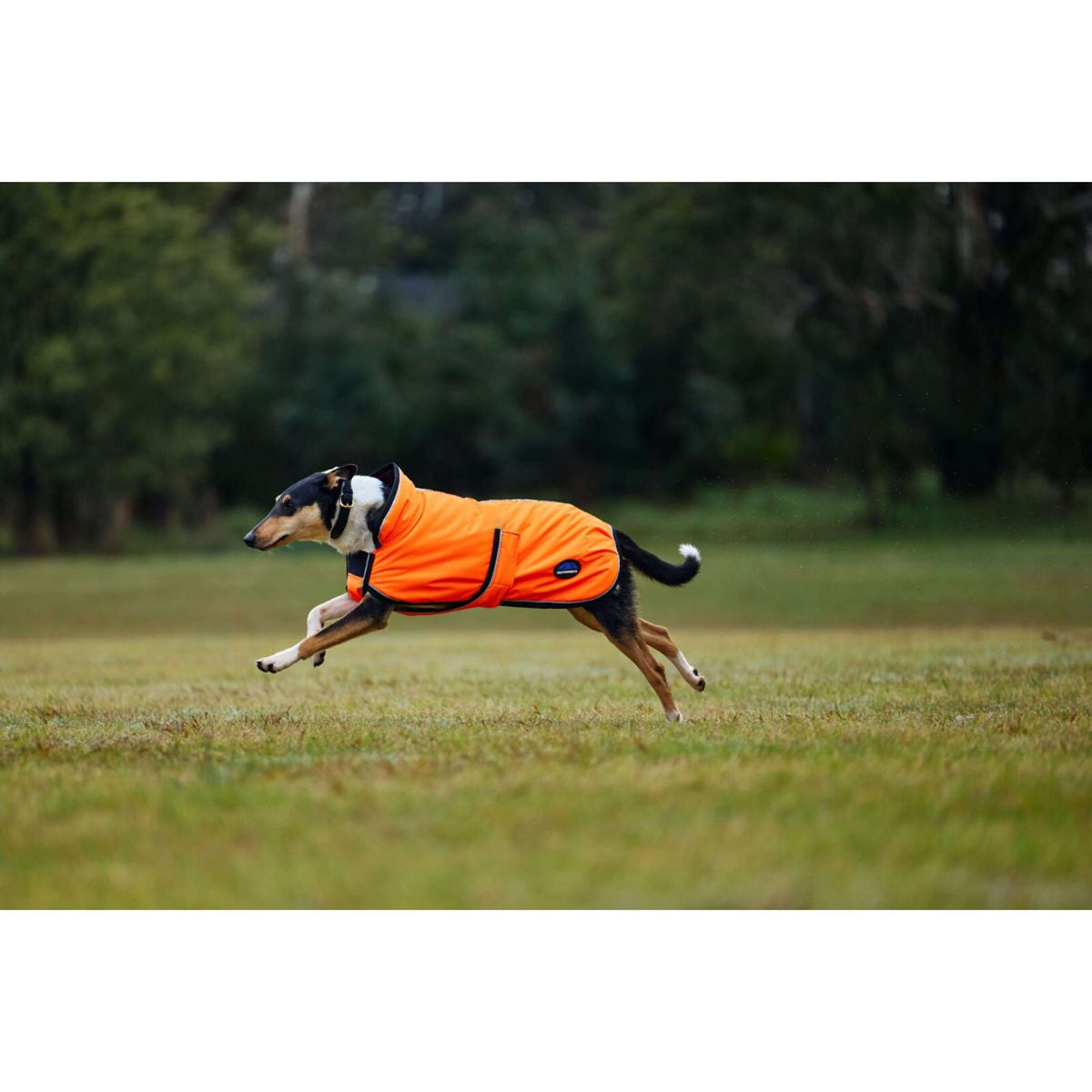WeatherBeeta Hundedecke ComFiTec Reflective 300D Deluxe Showerproof Orange