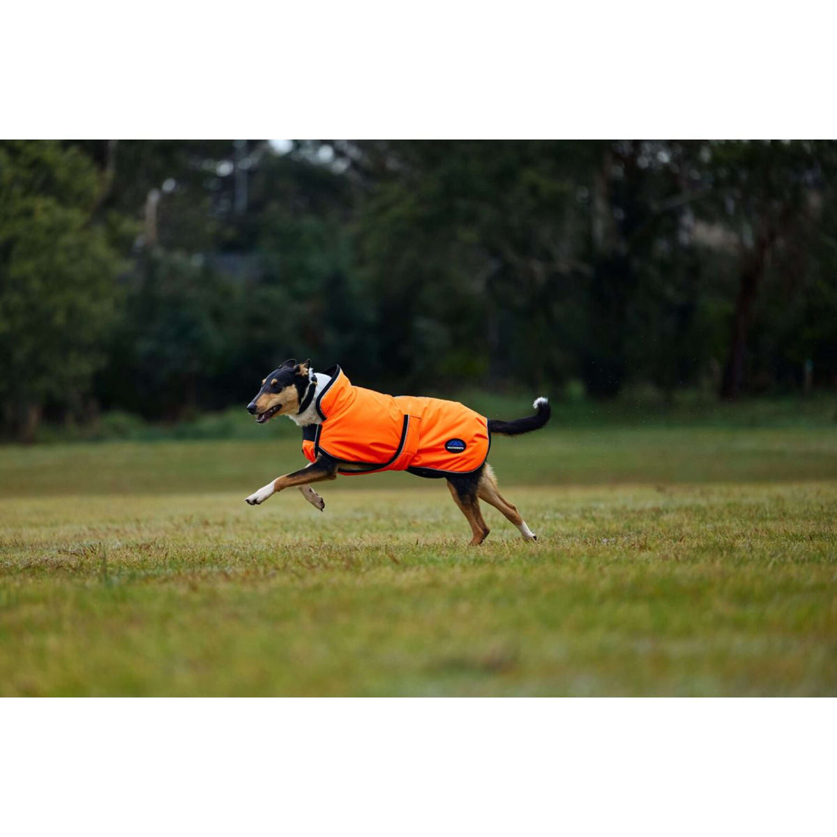 WeatherBeeta Hundedecke ComFiTec Reflective 300D Deluxe Showerproof Orange