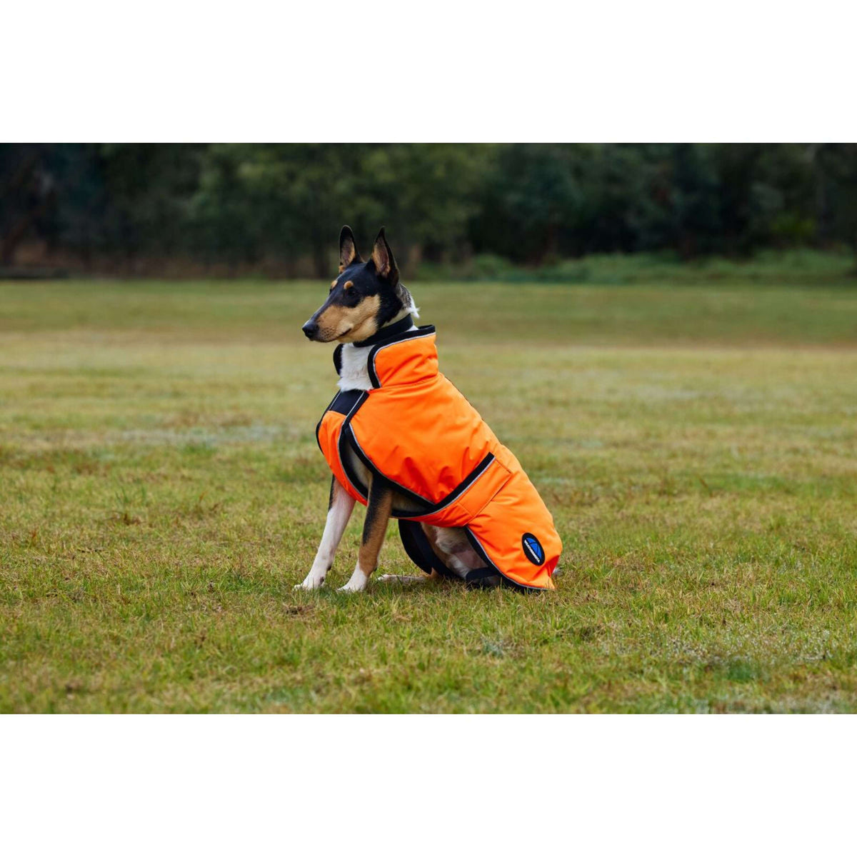 WeatherBeeta Hundedecke ComFiTec Reflective 300D Deluxe Showerproof Orange