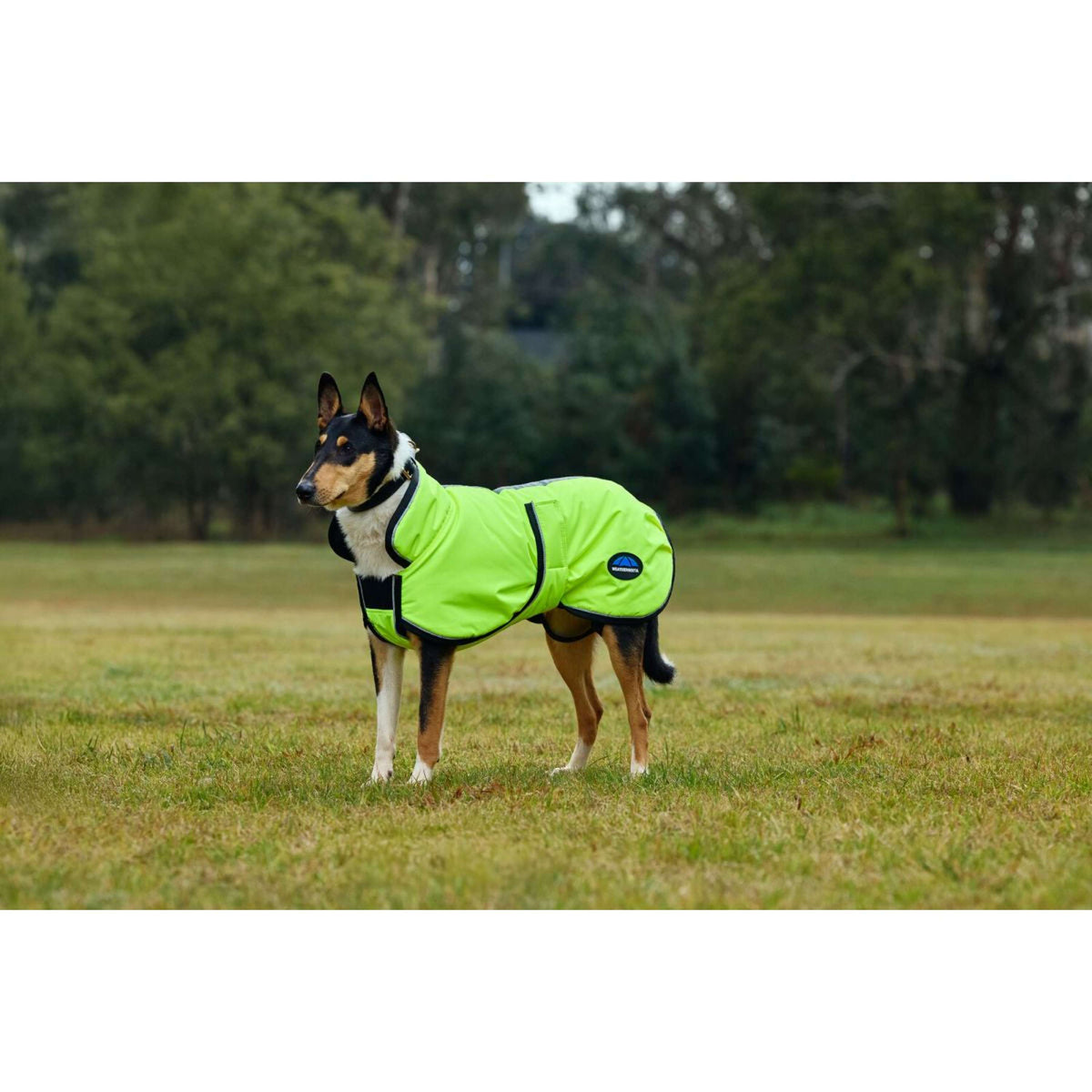 WeatherBeeta Hundedecke ComFiTec Reflective 300D Deluxe Showerproof Gelb