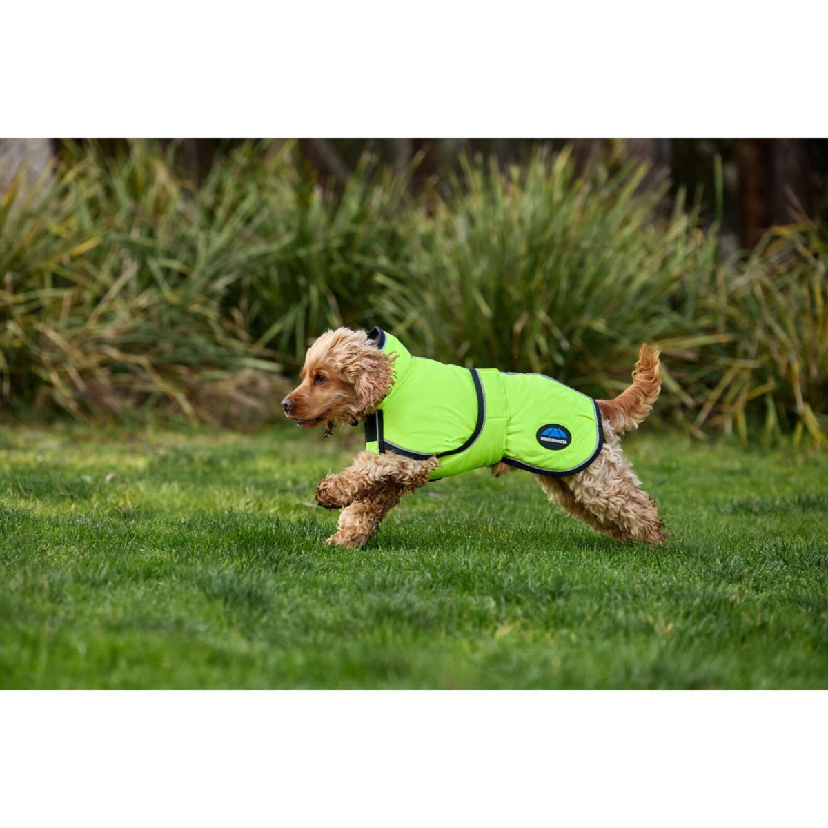 WeatherBeeta Hundedecke ComFiTec Reflective 300D Deluxe Showerproof Gelb