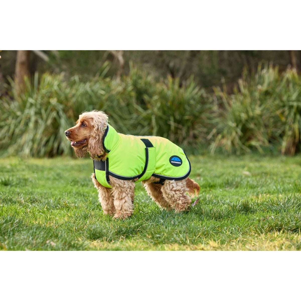 WeatherBeeta Hundedecke ComFiTec Reflective 300D Deluxe Showerproof Gelb