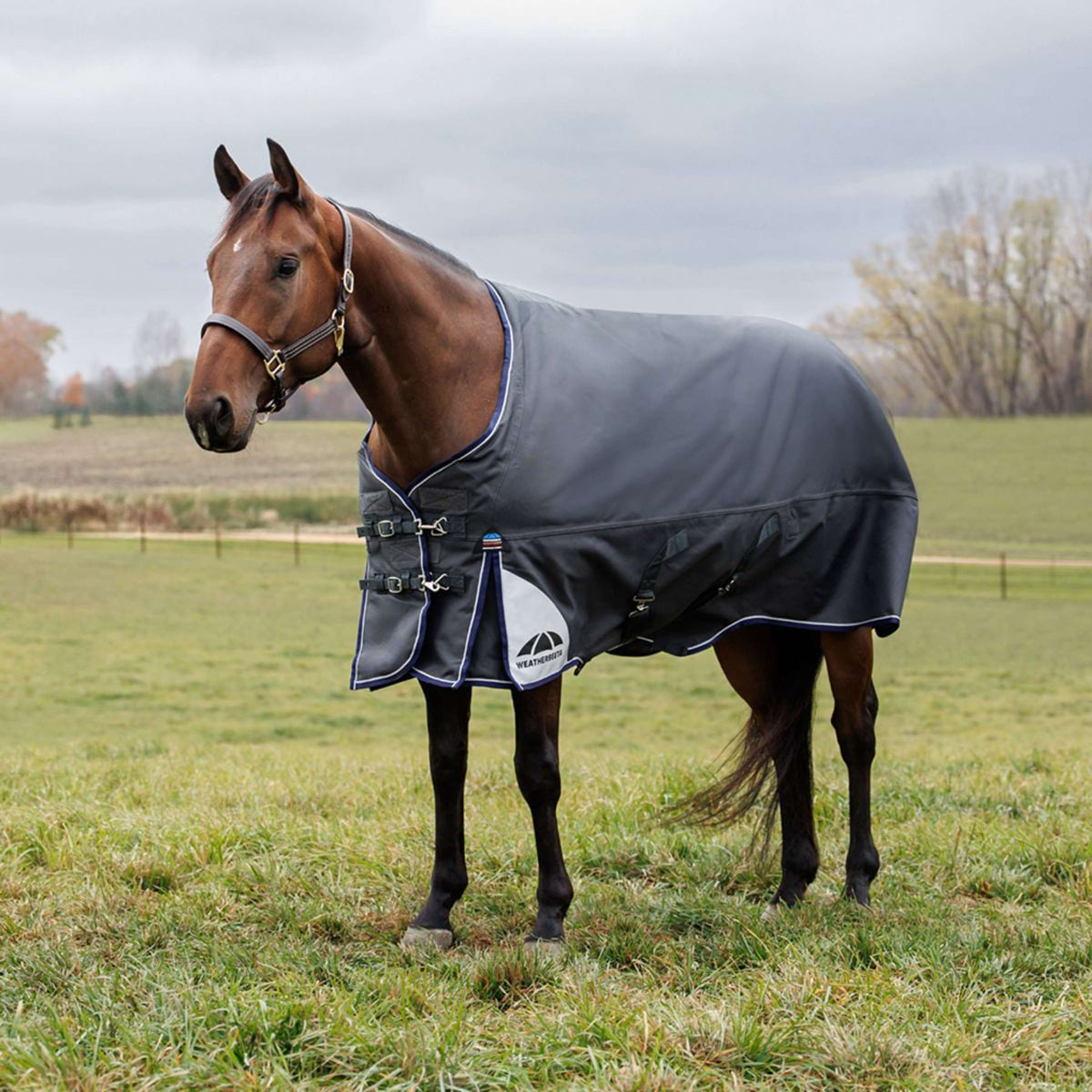 WeatherBeeta ComFiTec Ultra Turnout Standard Neck 220g Kohle