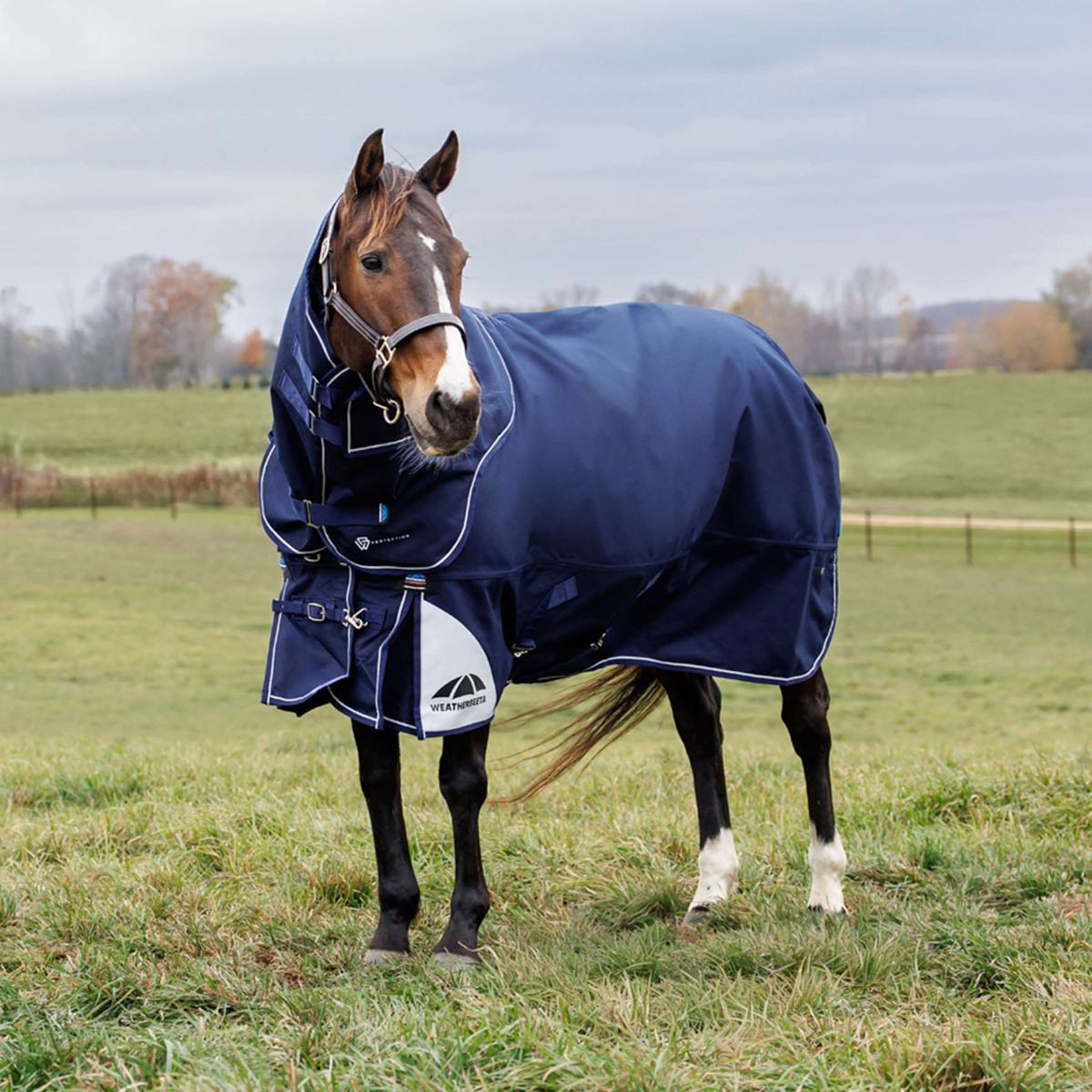 WeatherBeeta ComFiTec Ultra Turnout Standard Neck 220g Navy