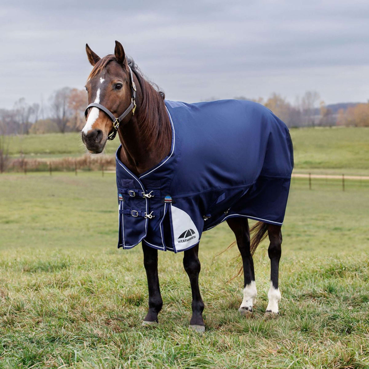 WeatherBeeta ComFiTec Ultra Turnout Standard Neck 220g Navy