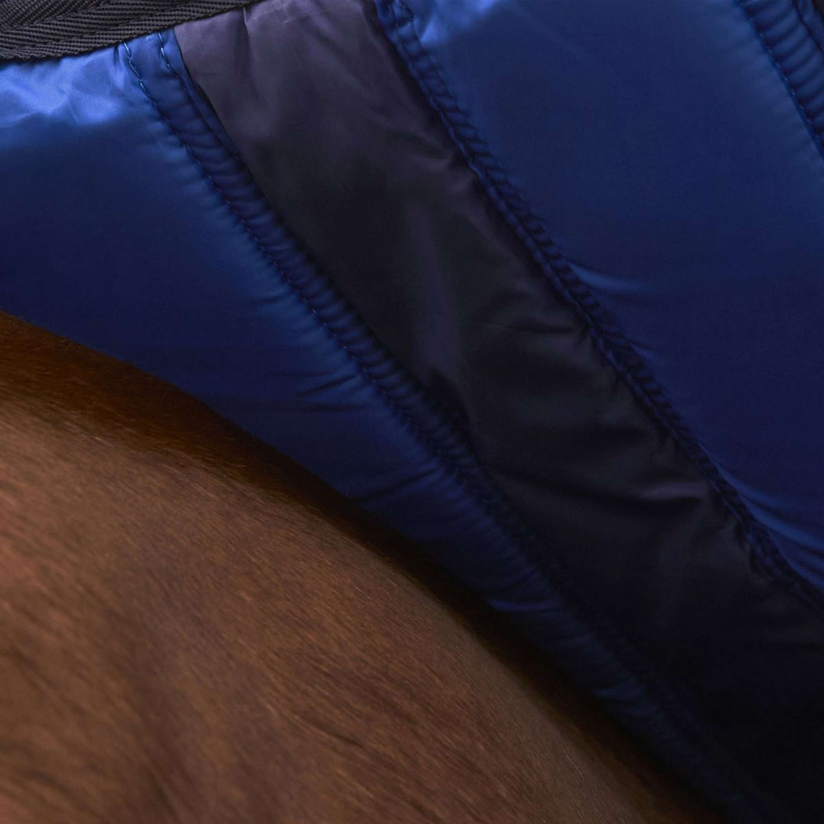 WeatherBeeta ComFiTec Ultra Turnout Standard Neck 220g Navy