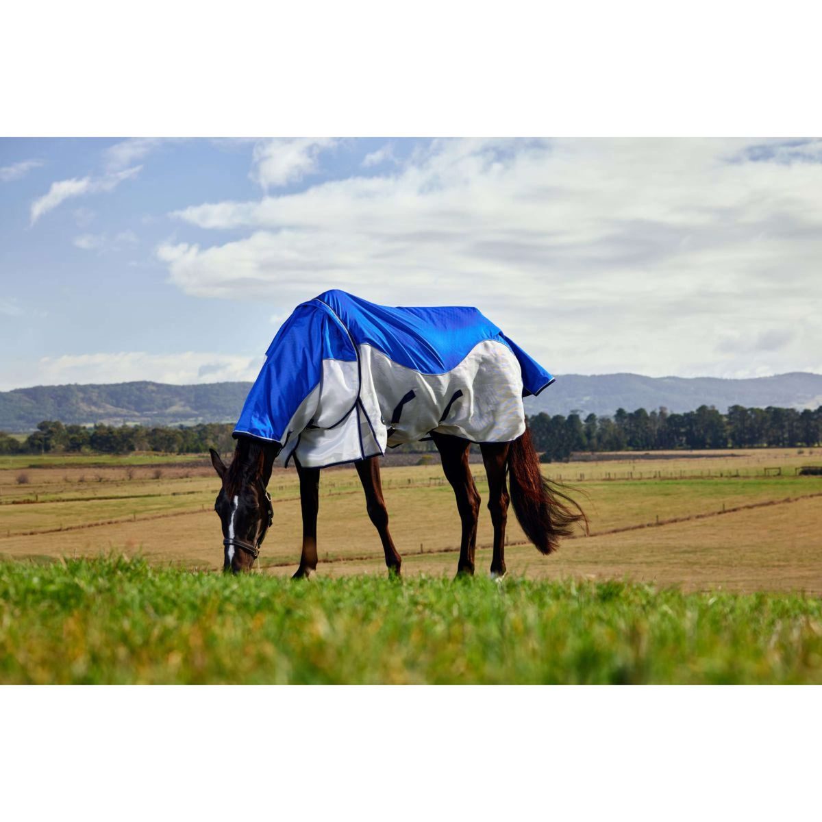 WeatherBeeta ComFiTec Duo Shield Deatch-A-Neck Blau/Silber/Navy