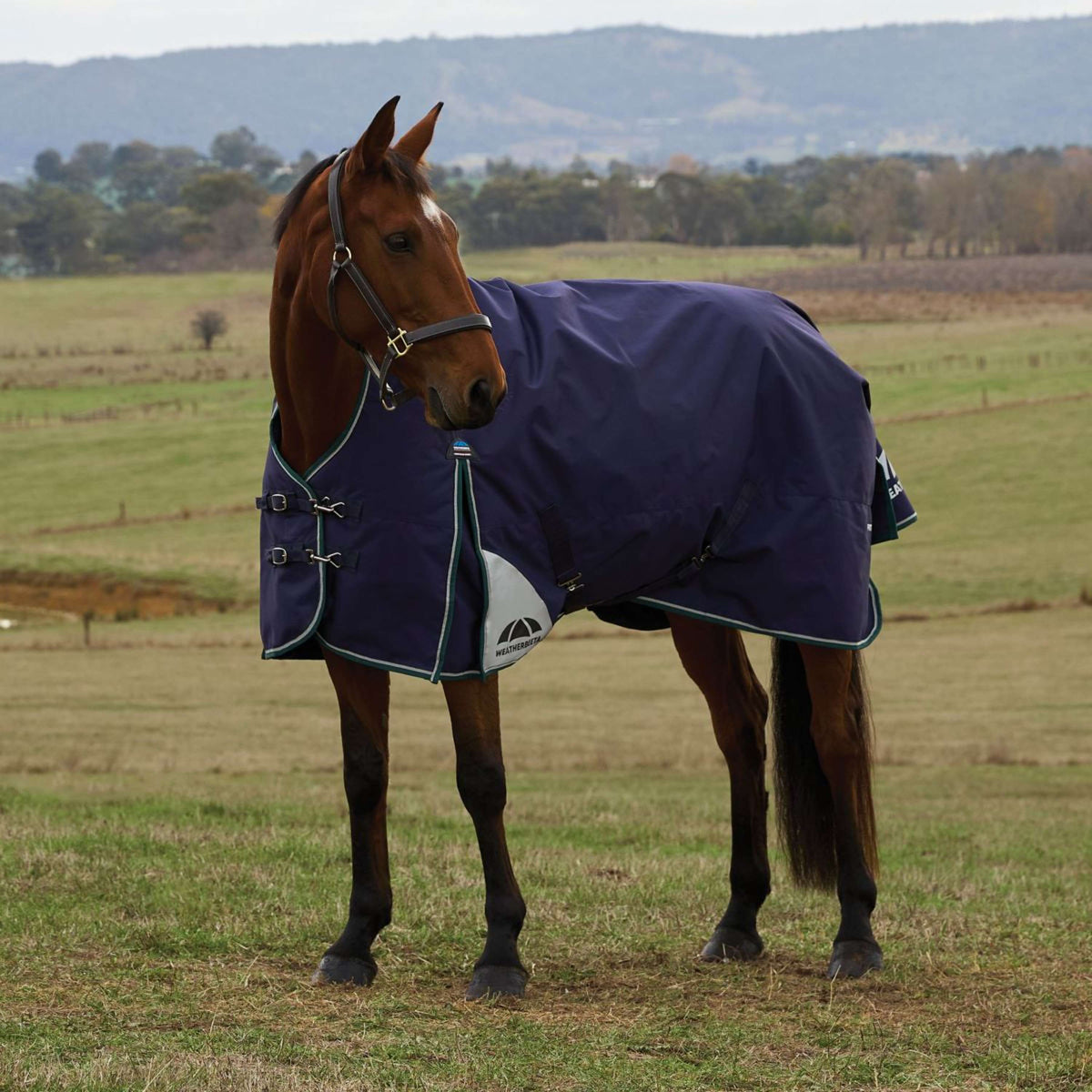 WeatherBeeta ComFiTec Plus Dynamic Turnout High Neck 0g Navy/Forest Green