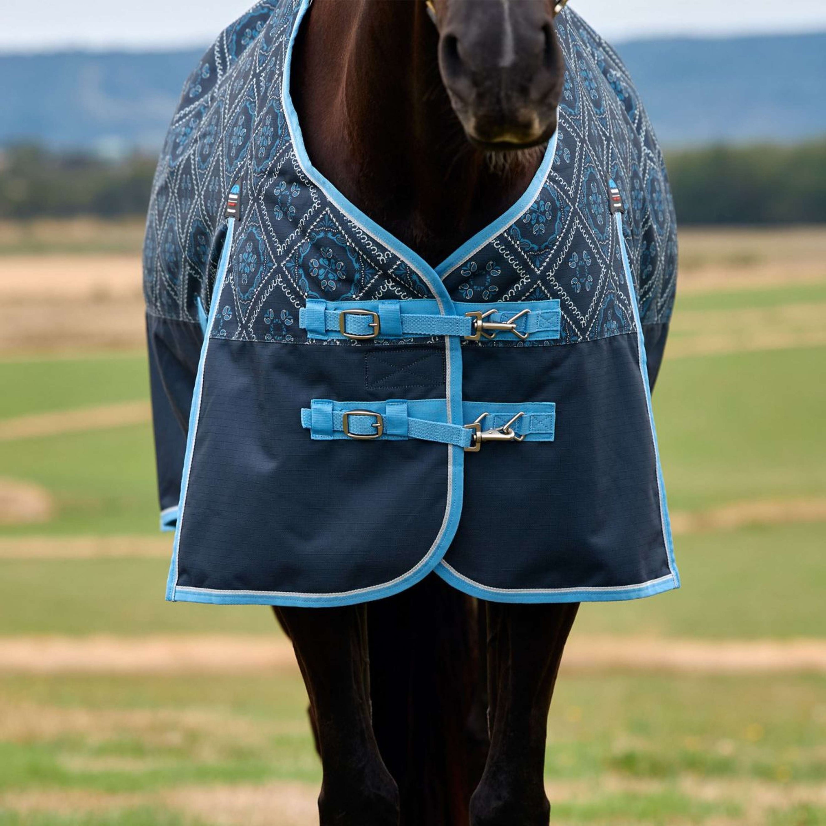 WeatherBeeta ComFiTec Heritage Turnout 220g Paisley Print WeatherBeeta ComFiTec Heritage Turnout 220g Paisley Print