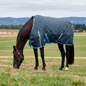 WeatherBeeta ComFiTec Heritage Turnout 220g Paisley Print