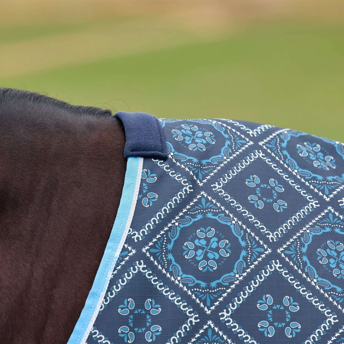 WeatherBeeta ComFiTec Heritage Turnout 220g Paisley Print