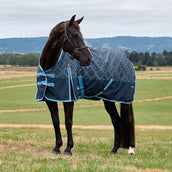 WeatherBeeta ComFiTec Heritage Turnout 220g Paisley Print