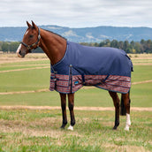 WeatherBeeta ComFiTec Legend Turnout 220g AZ-Tech