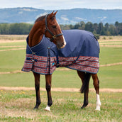 WeatherBeeta ComFiTec Legend Turnout 220g AZ-Tech