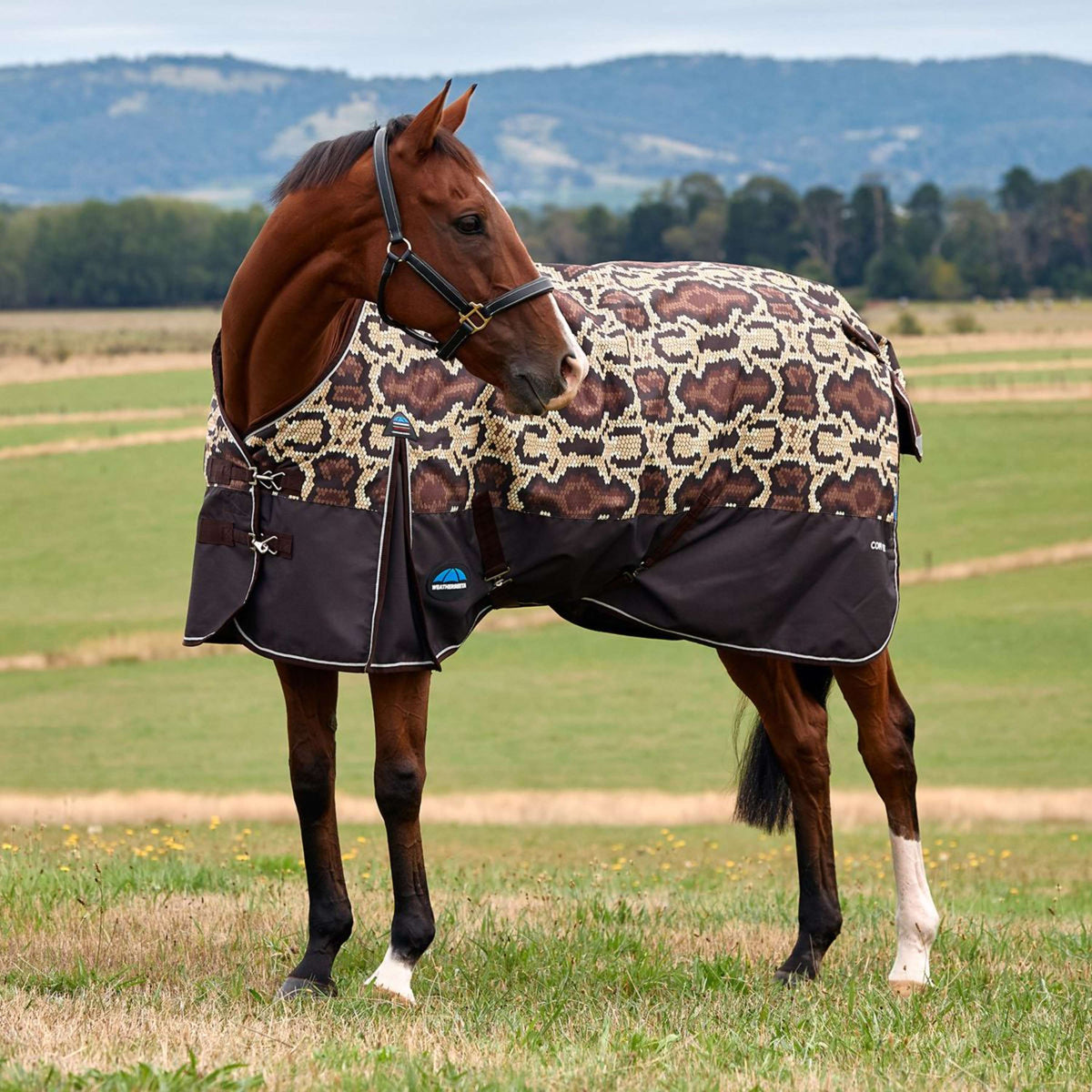 WeatherBeeta ComFiTec Legend Turnout 220g Rattler