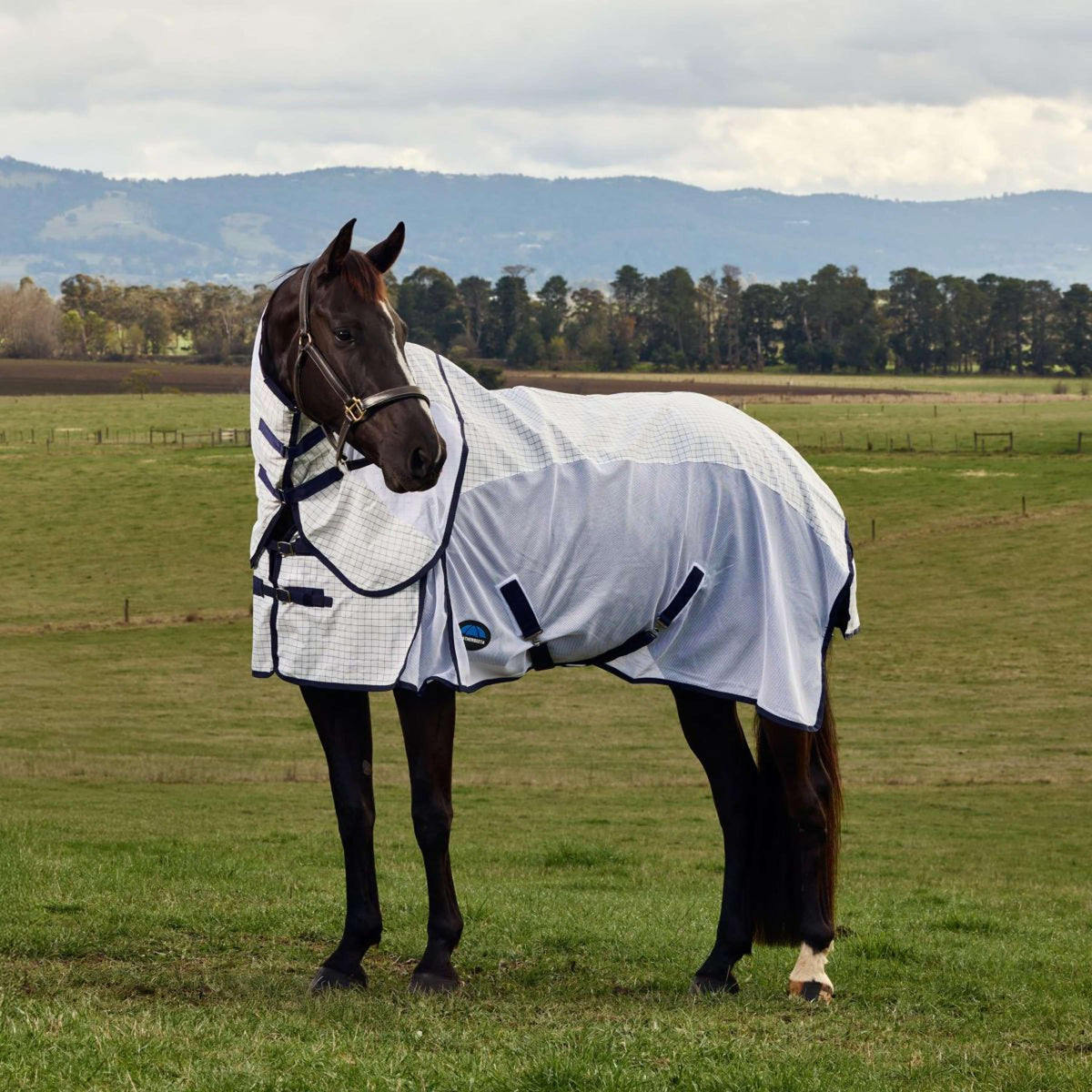 WeatherBeeta Sommerdecke Airstream Combo Weiß/Navy