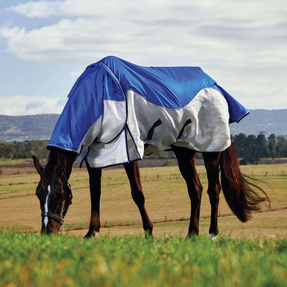 WeatherBeeta ComFiTec Duo Shield Deatch-A-Neck Blau/Silber/Navy