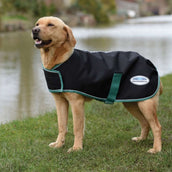 Weatherbeeta Hundejacke Green-Tec 900D Dog Coat Lite Medium Schwarz/bottle Grün