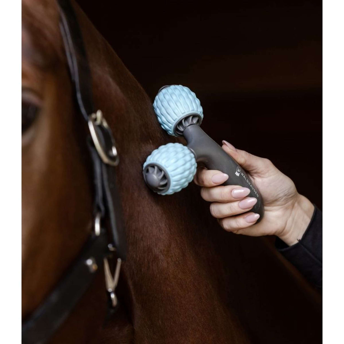 Waldhausen Health + Care Massagebürste Comfort Creator Grau/Blau