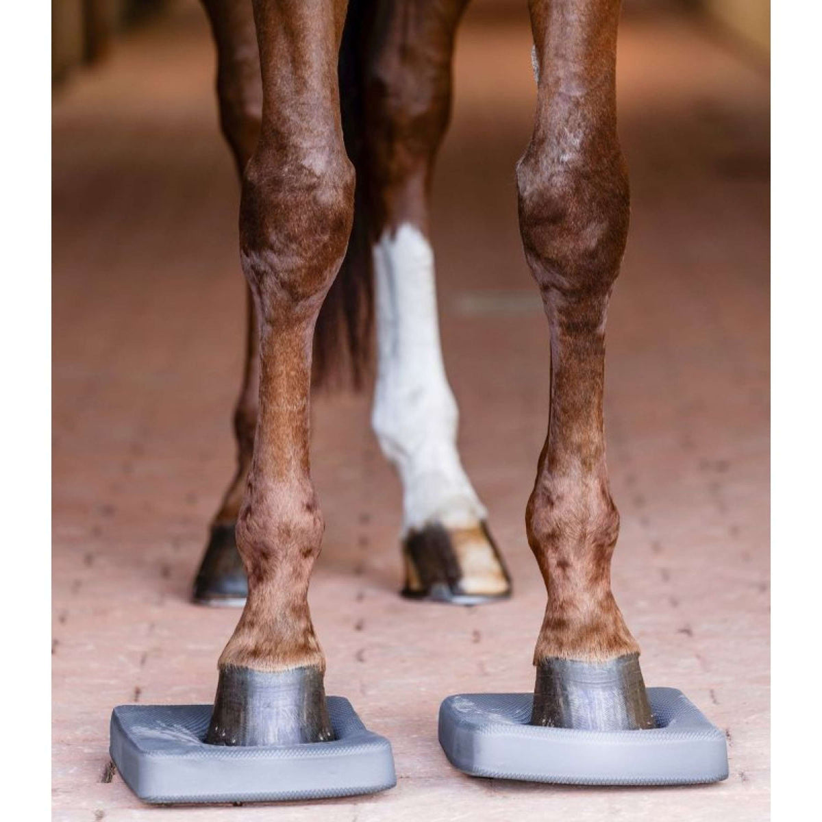 Waldhausen Health + Care Balance Pads Grau